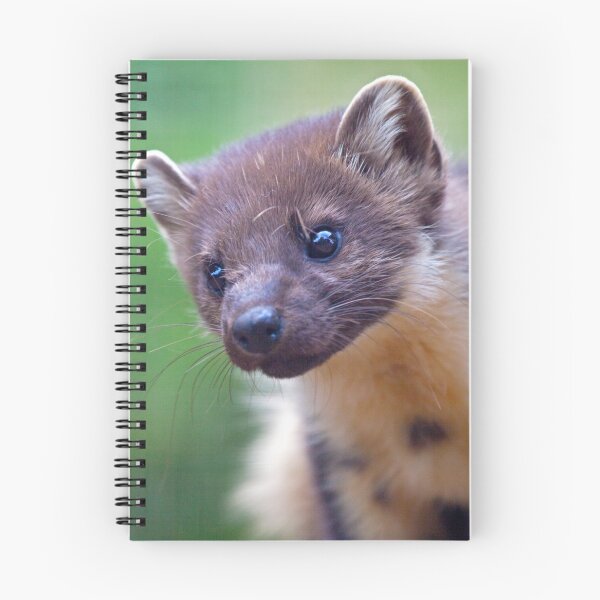 Item preview, Pine Marten Portrait designed and sold by Krys Bailey.
