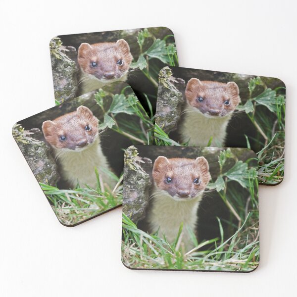 Item preview, Peek-a-Boo designed and sold by Krys Bailey.