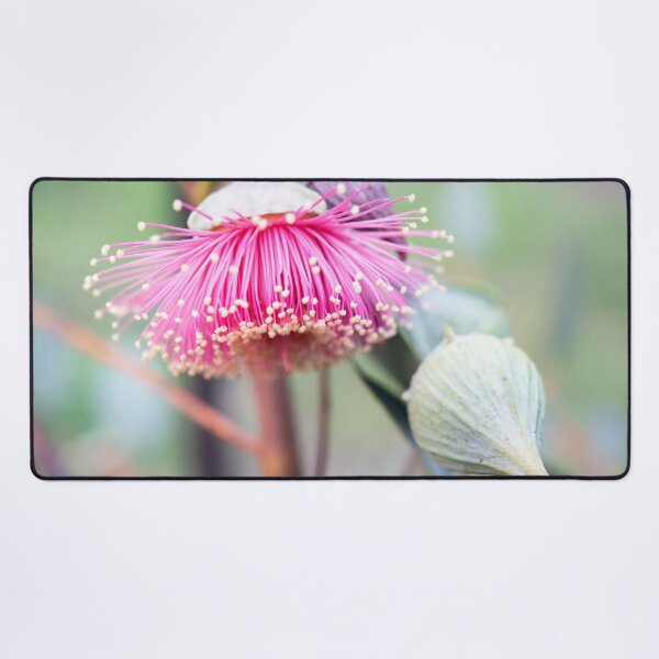 Item preview, Gumnut Flower - Pear Fruited Mallee designed and sold by imaginethis.