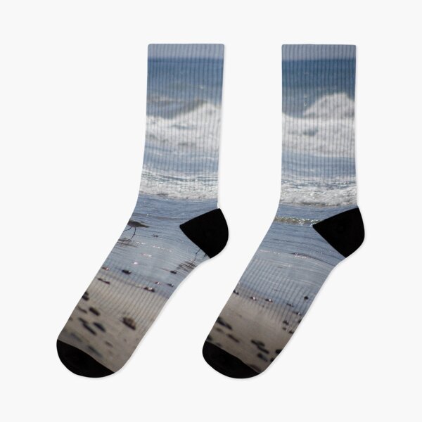 Item preview, California Beach Birds Chilling on the Sunny Beach V1 designed and sold by Family Journey with God.
