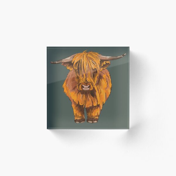 Heilan Coo Acrylic Block
