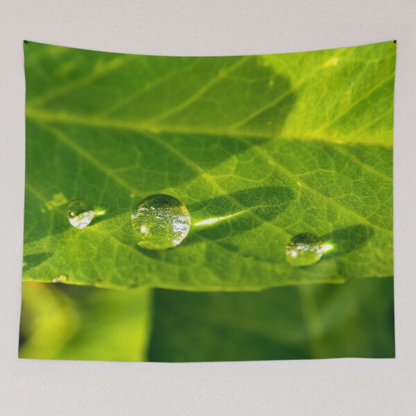 Artikelvorschau, Drops on the leaf entworfen und verkauft von Heteyy.