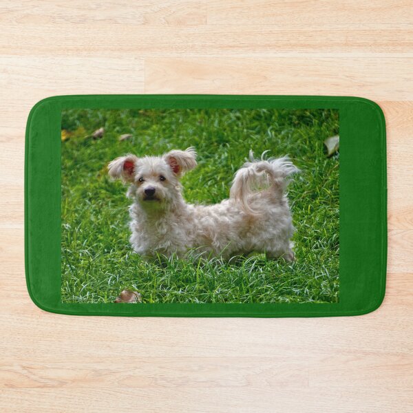 Item preview, This Is Our Little Fighter IV designed and sold by alabca.