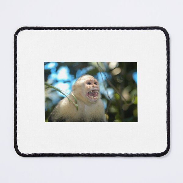 Item preview, A monkey!! designed and sold by bellascar5.