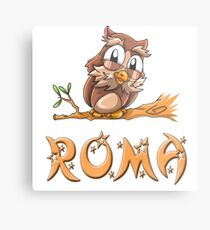 Roma Owl Metal Print