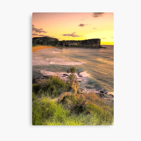 Item preview, Survivor - Avalon Beach - The HDR Experience designed and sold by Salieri1627.