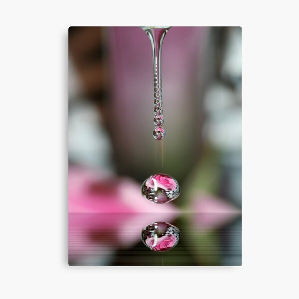 Roses on Roses Canvas Print