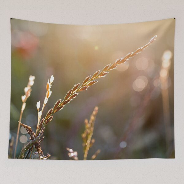 Item preview, Sunset in a warm summer meadow designed and sold by FOLK ART FUSION by heidiannemorris.