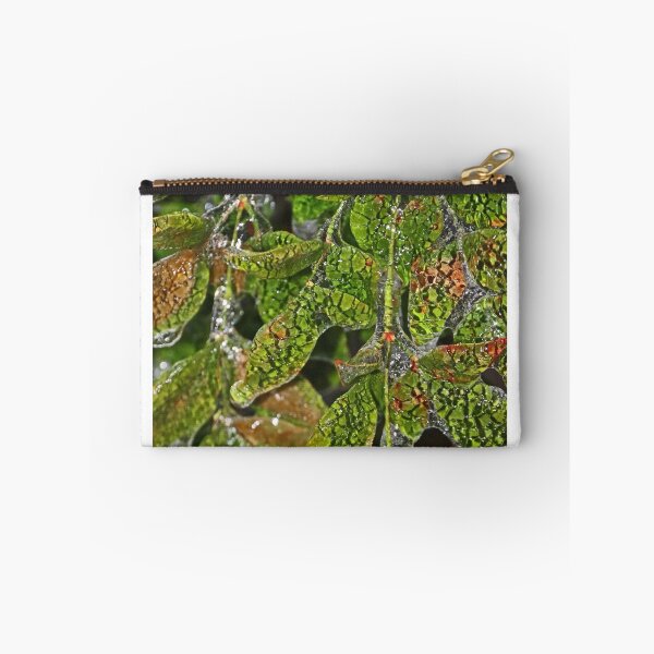 Item preview, Alligator Holly designed and sold by Eileen McVey.