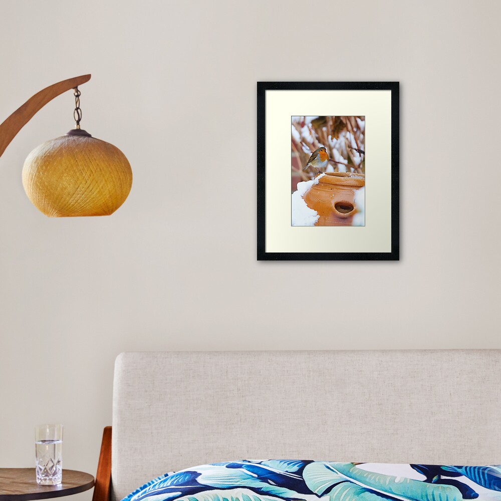 Robin (Erithacus rubecula) Framed Art Print