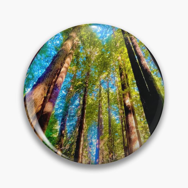 Item preview, skyfall designed and sold by Coastwind Photography.