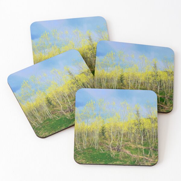 Item preview, Spring Aspens designed and sold by pvsnyder.