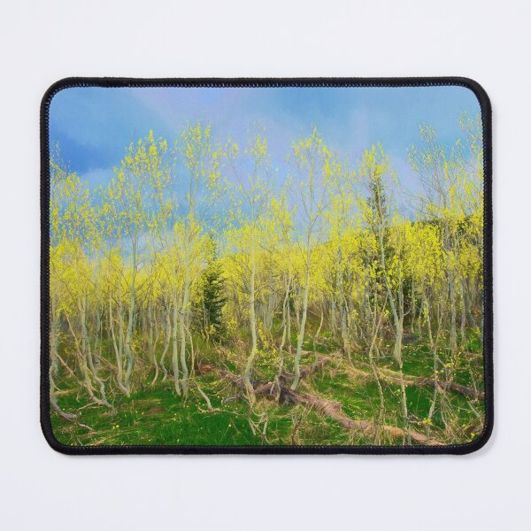 Item preview, Spring Aspens designed and sold by pvsnyder.