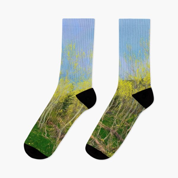 Item preview, Spring Aspens designed and sold by pvsnyder.