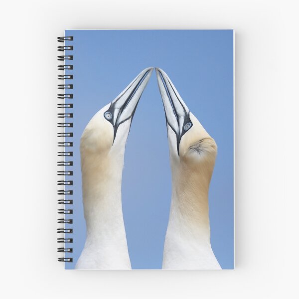 Item preview, Two Birds with... designed and sold by ucmevisuals.