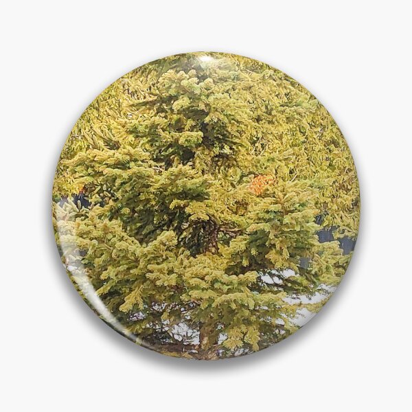 Item preview, Árbol de abeto. Comprar ahora designed and sold by Health And Fitness Posts e-Store.