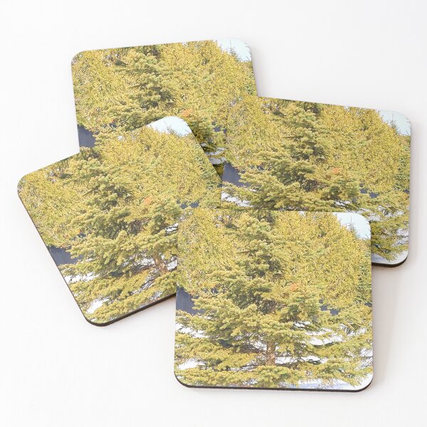 Item preview, Spruce Tree. Buy Now designed and sold by Health And Fitness Posts e-Store.