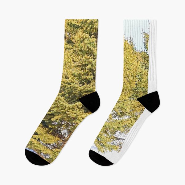 Item preview, Spruce Tree. Buy Now designed and sold by Health And Fitness Posts e-Store.