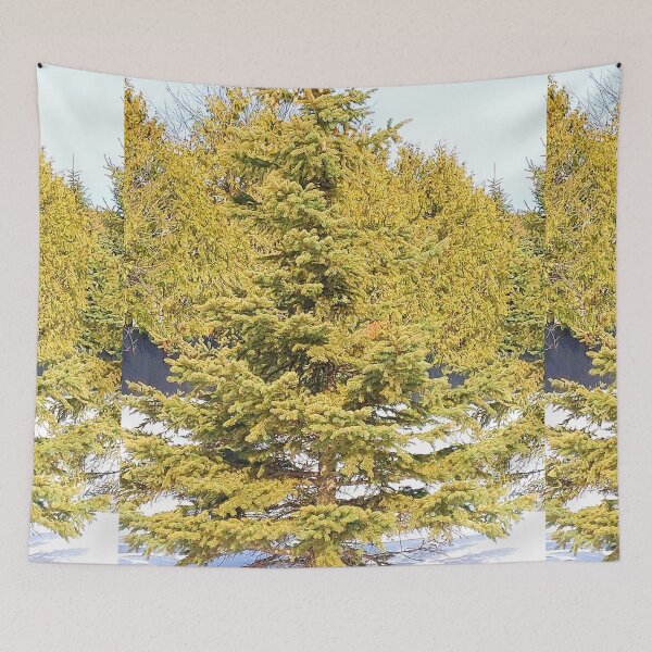 Item preview, Spruce Tree. Buy Now designed and sold by Health And Fitness Posts e-Store.