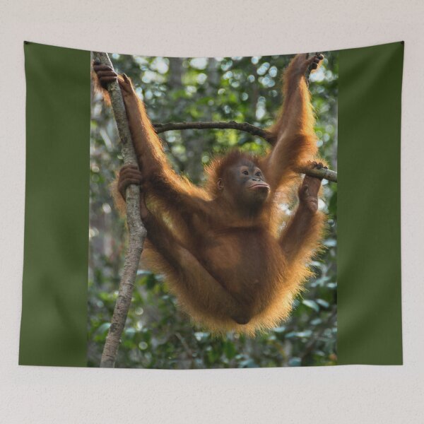 Item preview, Orangutan Hanging designed and sold by deemakai.