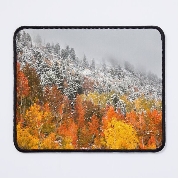 Item preview, Fall to Winter, Fall Autumn Winter Art, Utah Art, designed and sold by DAM Creative ⭐⭐⭐⭐⭐.
