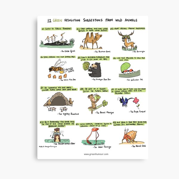 12 Green Resolution Suggestions from Wild Animals Canvas Print