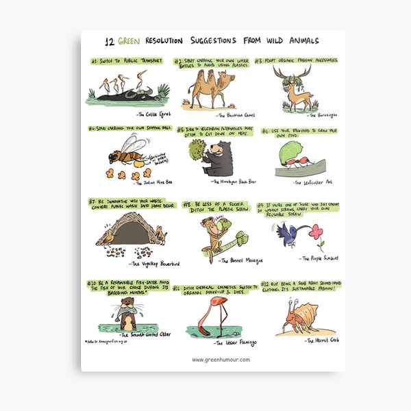 12 Green Resolution Suggestions from Wild Animals Metal Print