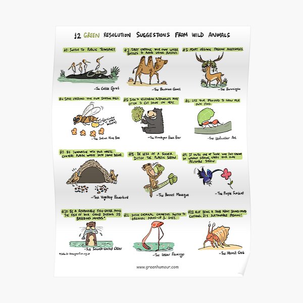 12 Green Resolution Suggestions from Wild Animals Poster
