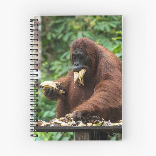 Item preview, Orangutan with Bananas designed and sold by deemakai.