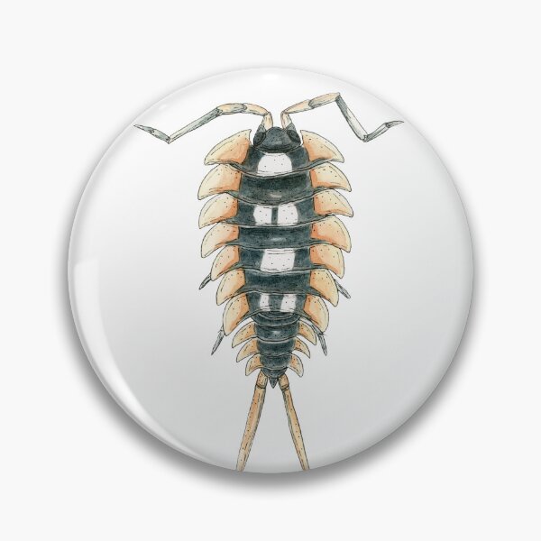 Item preview, Porcellio expansus orange Isopod designed and sold by paintedpansy.