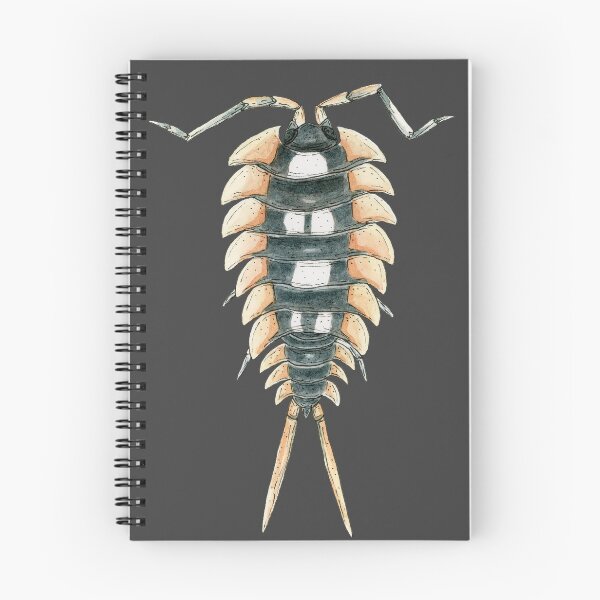 Item preview, Porcellio expansus orange Isopod designed and sold by paintedpansy.