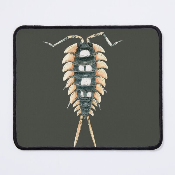 Item preview, Porcellio expansus orange Isopod designed and sold by paintedpansy.