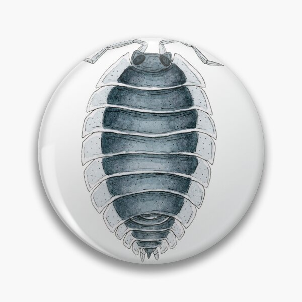 Item preview, Porcellio werneri Isopod designed and sold by paintedpansy.
