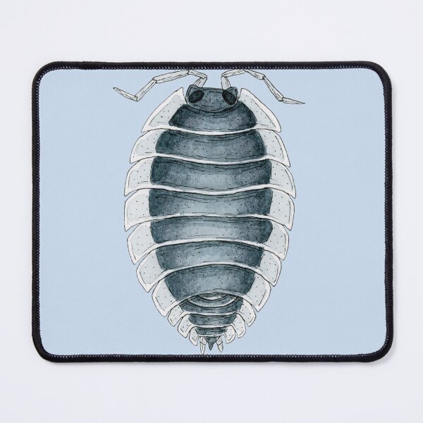 Item preview, Porcellio werneri Isopod designed and sold by paintedpansy.