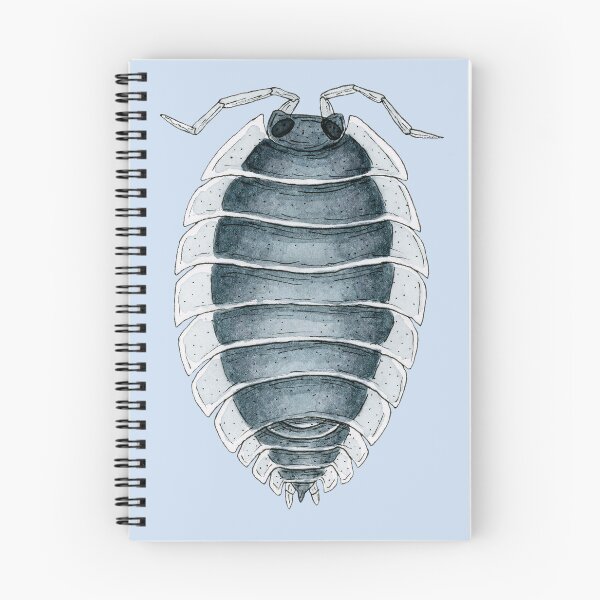 Item preview, Porcellio werneri Isopod designed and sold by paintedpansy.