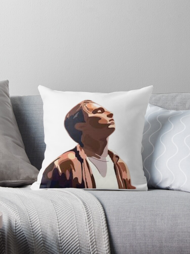 https://ih1.redbubble.net/image.4881387998.4957/throwpillow,small,750x1000-bg,f8f8f8.jpg