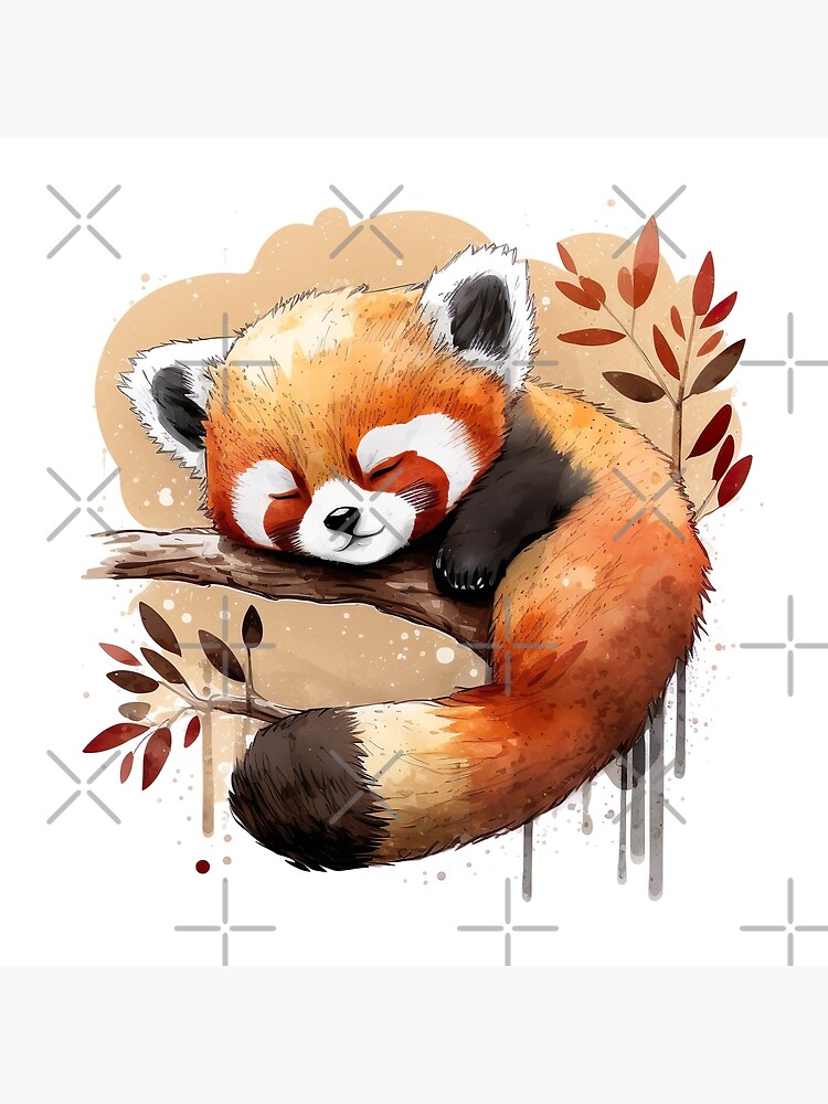 panda rojo durmiendo Lámina rígida - Main Image