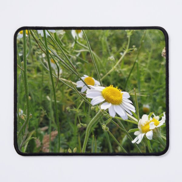 Item preview, Nature designed and sold by Tashulovart.