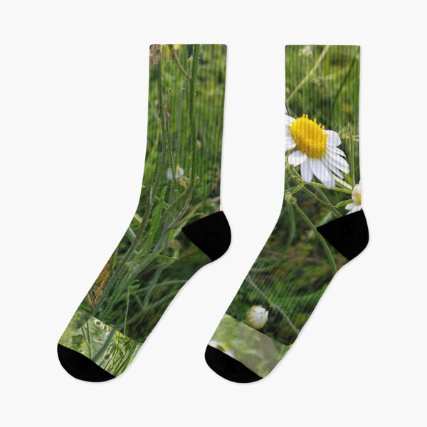 Item preview, Nature designed and sold by Tashulovart.