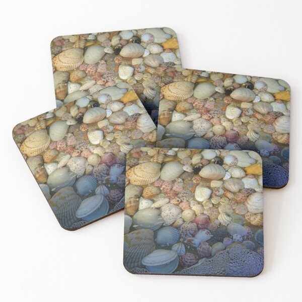 Item preview, Sea shell collection from Sanibel Island, Florida designed and sold by CommandoCrane.