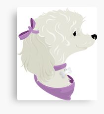 Cute dog Canvas Print