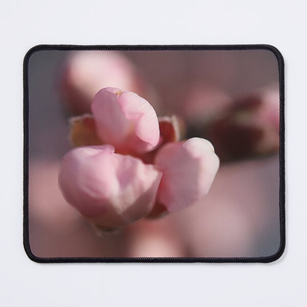 Item preview, Almond blossom. designed and sold by Paul Pasco.