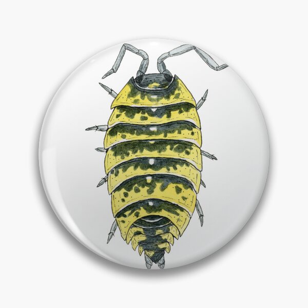 Item preview, Porcellio ornatus Isopod, high yellow designed and sold by paintedpansy.