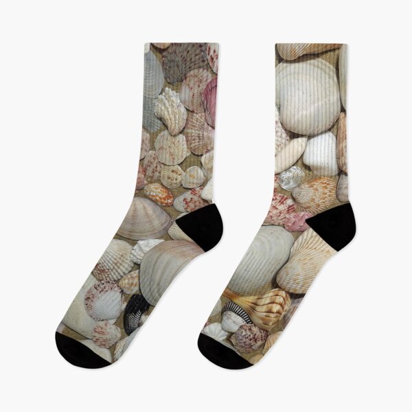 Item preview, Collection of Seashells from Sanibel Island designed and sold by CommandoCrane.