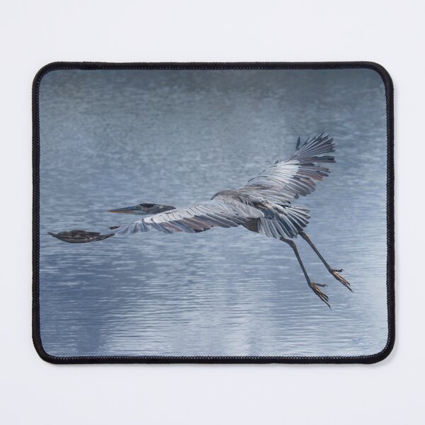 Item preview, Great blue heron in flight designed and sold by Zina Stromberg.