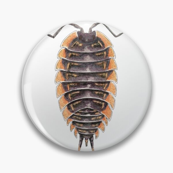 Item preview, Trachelipus caucasus Isopod designed and sold by paintedpansy.