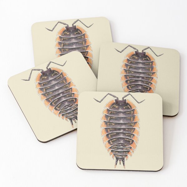 Item preview, Trachelipus caucasus Isopod designed and sold by paintedpansy.