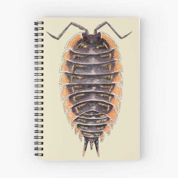 Item preview, Trachelipus caucasus Isopod designed and sold by paintedpansy.
