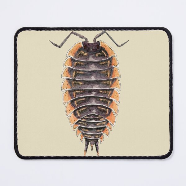 Item preview, Trachelipus caucasus Isopod designed and sold by paintedpansy.