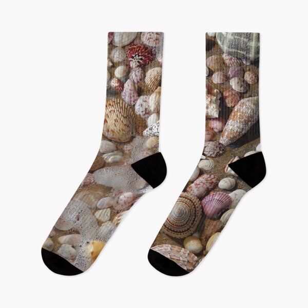Item preview, My Favorite Shells designed and sold by CommandoCrane.